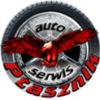 Auto_serwis_ptasznik - logo