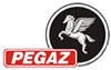 PEGAZ_Uslugi_Transportowe_Wieslaw_Rychel - logo