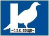 Osrodek_Szkolenia_Kierowcow_ZOO_Andrzej_Golab - logo