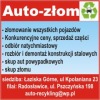 AUTOZLOM_AUTOZLOMOWANIE_ - logo
