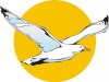 Albatros_Travel - logo